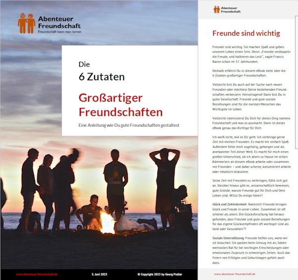 Kleines Buch über Freundschaft: Die 6 Zutaten großartiger Freundschaften (als eBook)