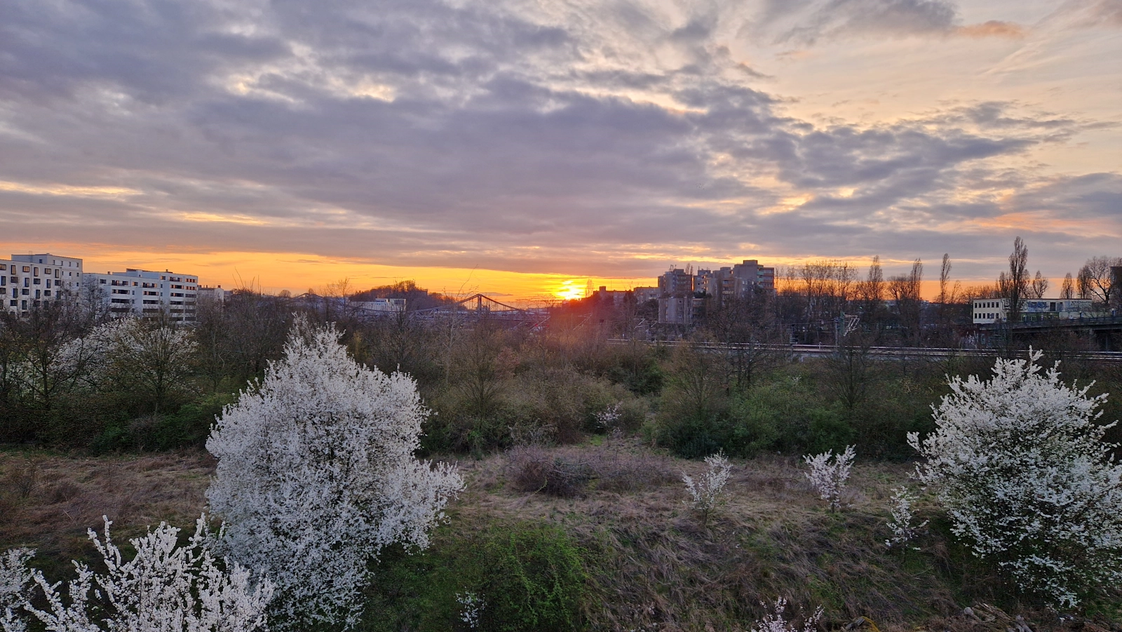 Auf der Rückkehr von einer unserer Wanderungen. Blick vom Schwedter Steg auf die untergehende Sonne hinter dem Bahnhof Gesundbrunnen. Bild: Georg Preller
