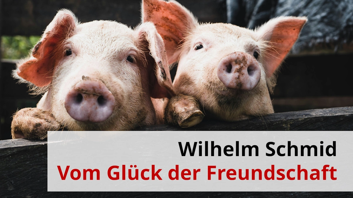 Björn Thorsten Leimbach - Männlichkeit Leben - Männerfreundschaften - Foto: Quino al Ce @unsplash.com