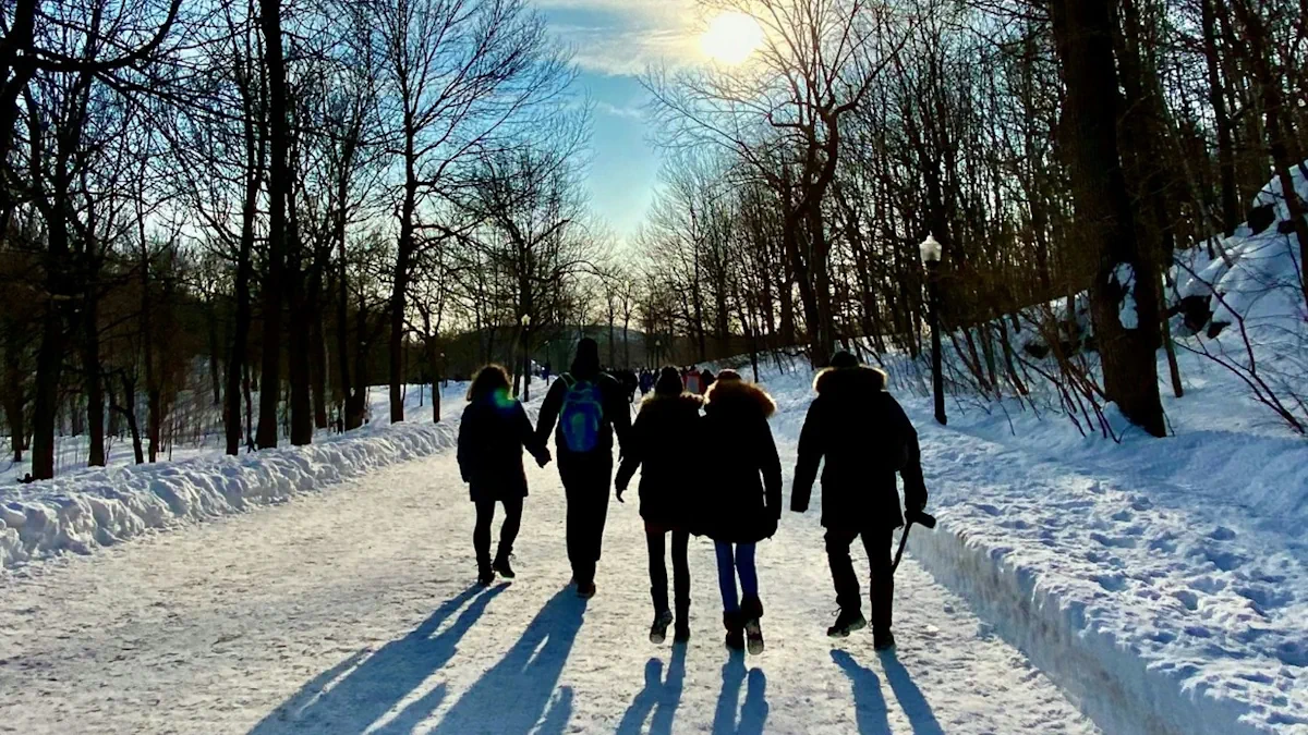 Ein gemeinsamer Spaziergang im Schnee - Sowohl mit der Familie, als auch für Weihnachten mit Freunden. Foto: Arthur auf unsplash